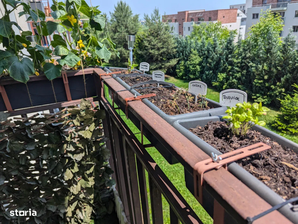 3 camere , 54 mp, 2 terase,2 parcari  zona str.Borhanciului , Borhanci