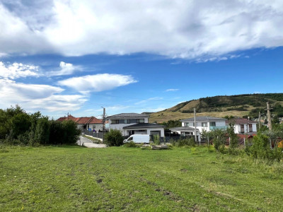 Teren Intravilan, 1055/ 527 Constructii, Centru Chinteni 21 Decembrie