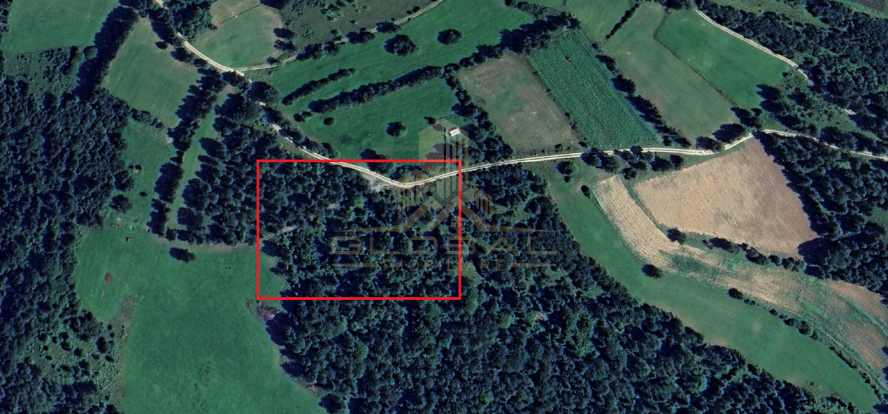 Teren Extravilan- 800 mp. 2 parcele Panorma Utilitati in Rasca - CLuj