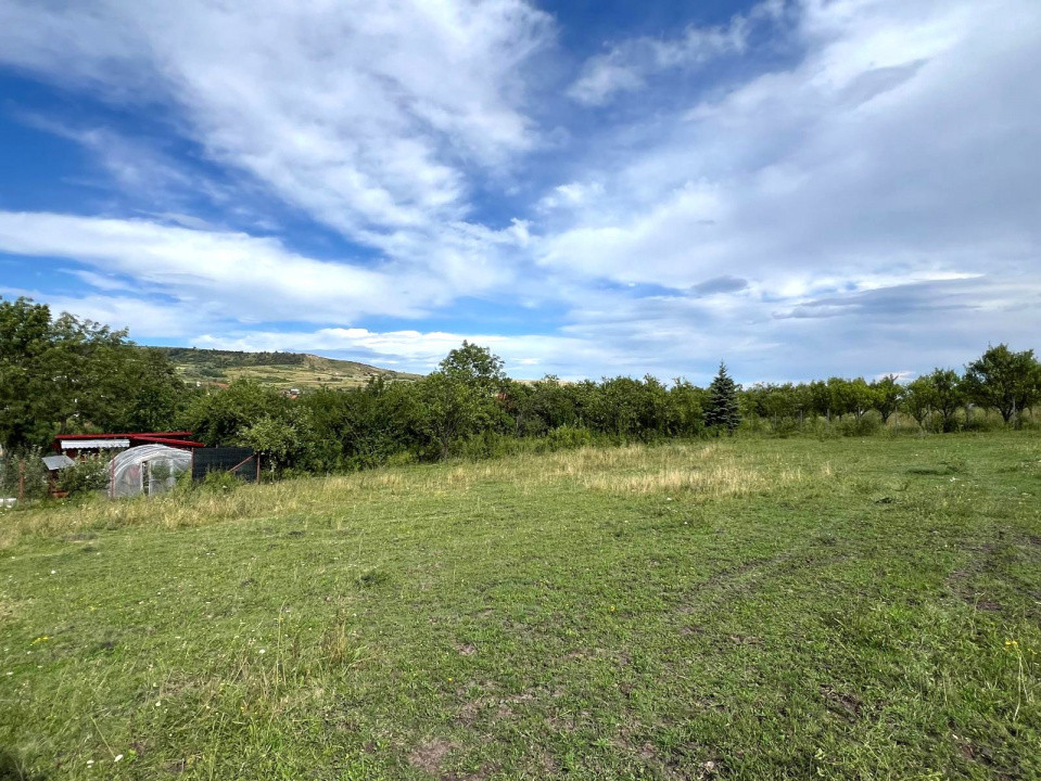 Teren Autorizabil Constructii, 1055 mp. Centru Chinteni 21 Decembrie