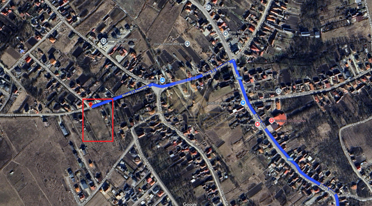 Teren Autorizabil Constructii, 1055 mp. Centru Chinteni 21 Decembrie