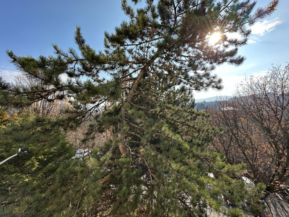 2 camere ,54 mp, Lux Totul Nou, balcon zona str.Aleea Padis, Gheorgheni