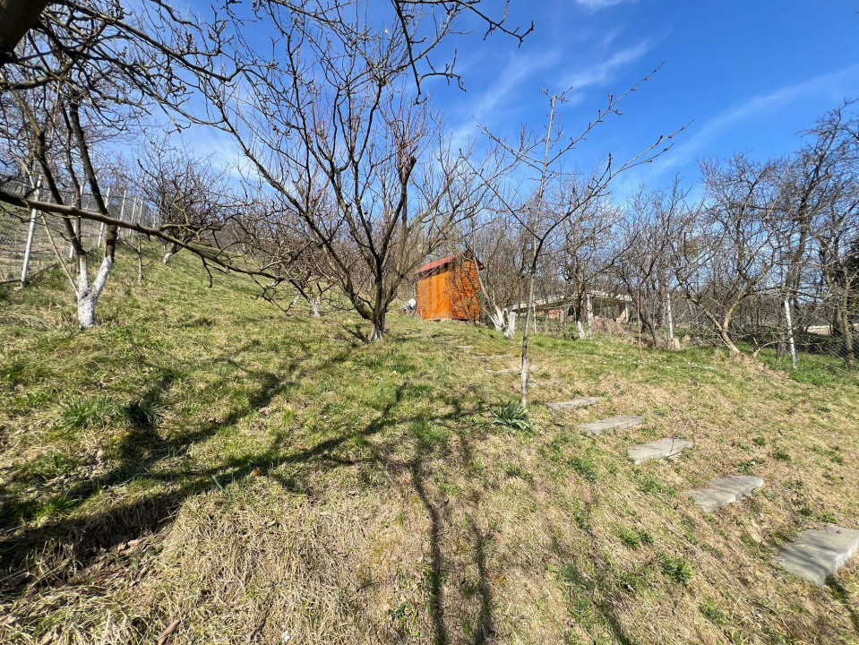 Vila de LUX,  4 camere , 140 mp, curte, garaj, terasa , Grigorescu 