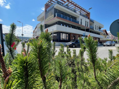 3 camere , LUX, 100 mp. Terasa parcare , zona str.Macesului, Buna-Ziua