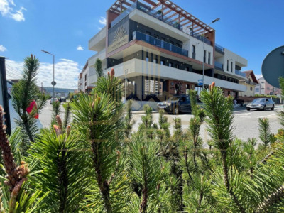 3 camere , LUX, 100 mp. Terasa parcare , zona str.Macesului, Buna-Ziua